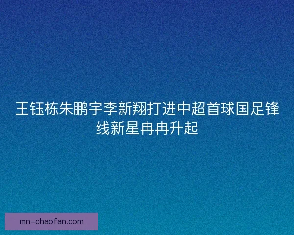 王钰栋朱鹏宇李新翔打进中超首球国足锋线新星冉冉升起 王钰栋朱鹏宇李新翔打进中超首球国足锋线新星冉冉升起