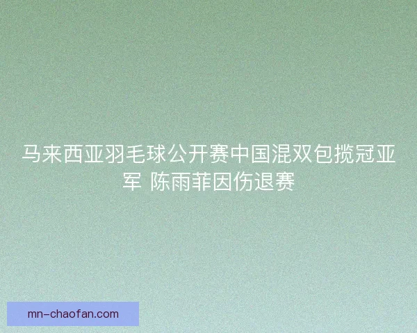 马来西亚羽毛球公开赛中国混双包揽冠亚军 陈雨菲因伤退赛